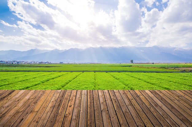 Tierras de cultivo