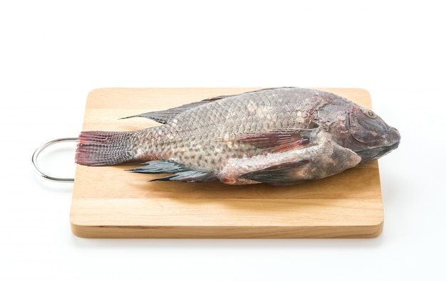 Tilapia negra o Tilapia