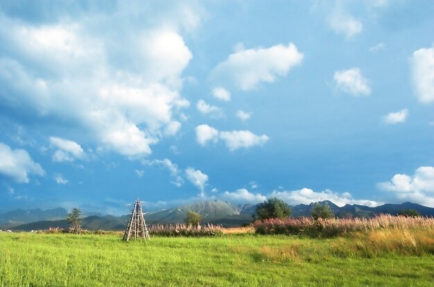 Tipi indio de madera