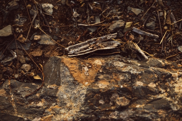 Tiro de alta vista de tierra y piedras