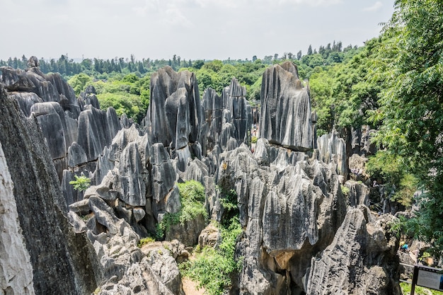 Foto gratuita tiro de alto ángulo del área escénica del bosque de piedra de naigu en el parque nacional en kunming, china