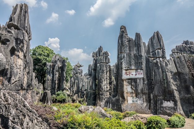 Tiro de alto ángulo del área escénica del bosque de piedra de Naigu en el parque nacional en Kunming, China