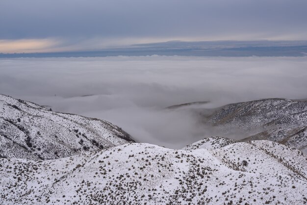 Tiro de alto ángulo de montañas nevadas cubiertas de árboles sobre las nubes bajo un cielo azul