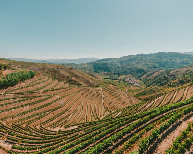 Tiro de alto ángulo de un paisaje con pasto verde y una cordillera de montañas