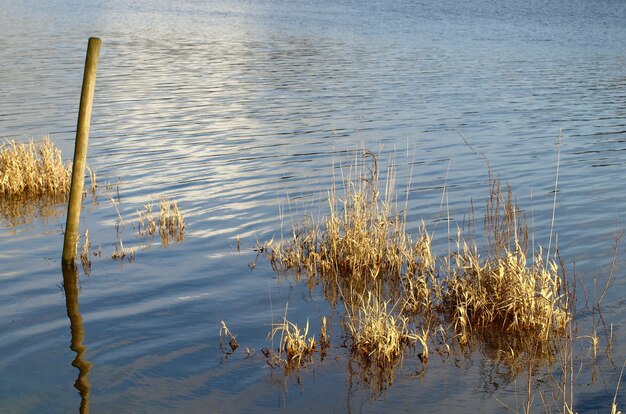 Tiro de ángulo alto de agua clara en el lago