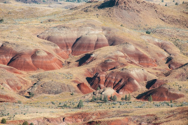 Tiro de ángulo alto de las arenosas colinas rojas en una zona desierta bajo el cielo brillante