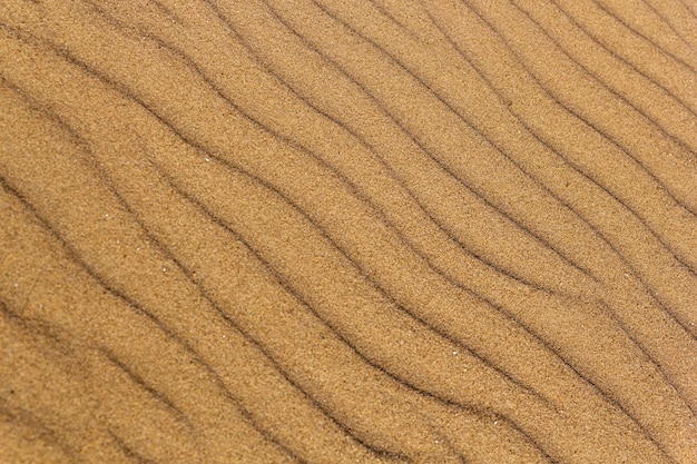 Tiro de ángulo alto de una áspera textura de arena de playa dorada