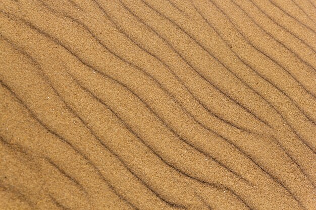 Tiro de ángulo alto de una áspera textura de arena de playa dorada