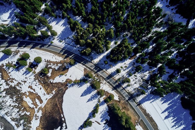 Tiro de ángulo alto de una carretera en un hermoso bosque de abetos en invierno con nieve que cubre el suelo