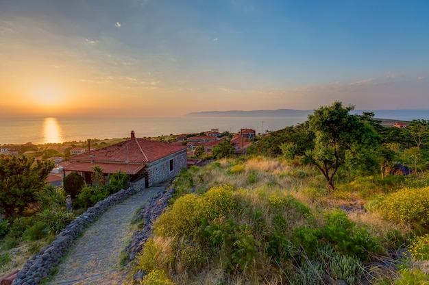 Tiro de ángulo alto de las casas junto a los árboles bajo la puesta de sol capturado en Lesbos, Grecia