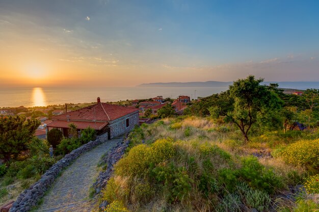 Tiro de ángulo alto de las casas junto a los árboles bajo la puesta de sol capturado en Lesbos, Grecia