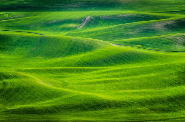 Tiro de ángulo alto de colinas cubiertas de hierba durante el día en el este de Washington