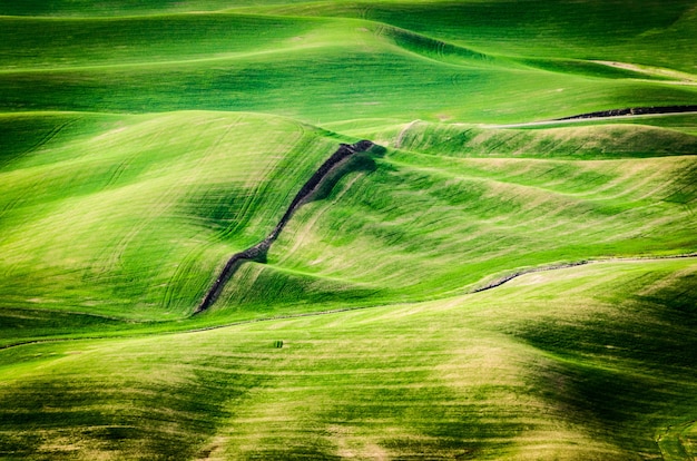 Tiro de ángulo alto de colinas verdes durante el día en el este de Washington