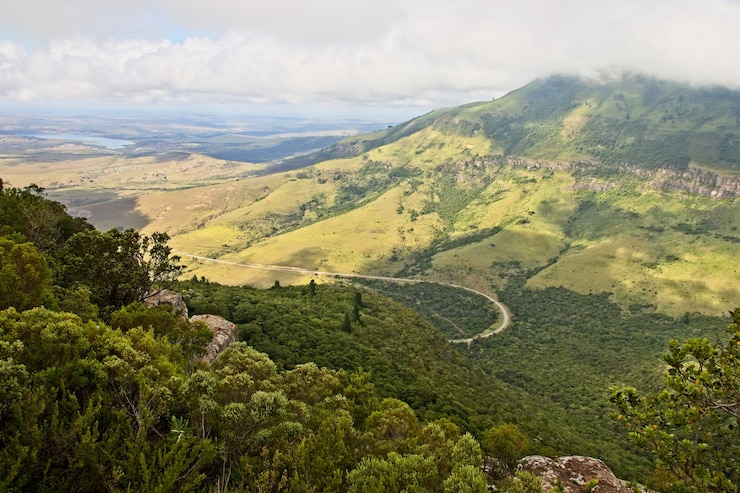 Foto gratuito tiro de ángulo alto de la hermosa montaña cubierta de árboles y valles bajo el cielo nublado