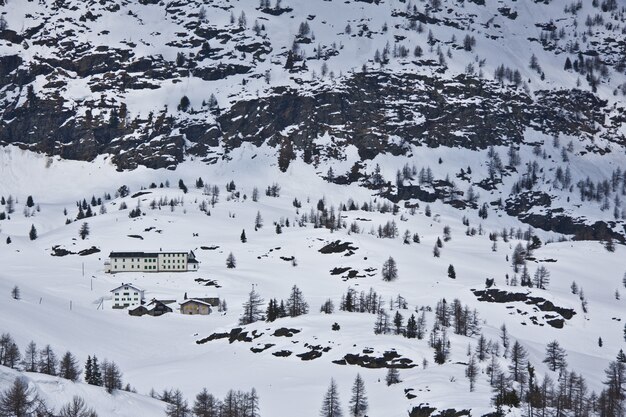 Tiro de ángulo alto de un hermoso paisaje con muchos árboles cubiertos de nieve