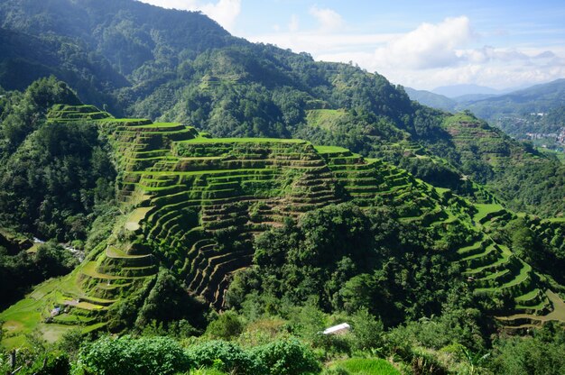 Tiro de ángulo alto de un hermoso paisaje en terrazas de arroz de Banaue, provincia de Ifugao, Filipinas