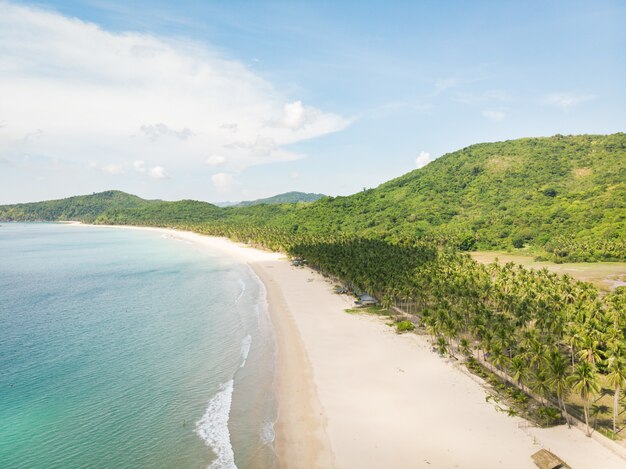 Tiro de ángulo alto del océano tranquilo y la playa cubierta de árboles por las hermosas colinas verdes