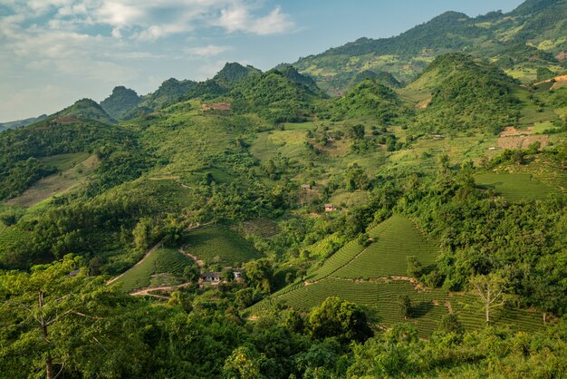 Tiro de ángulo alto de un paisaje con árboles verdes y montañas bajo el cielo nublado