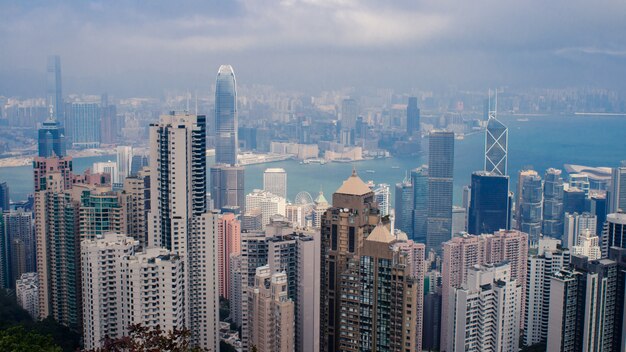 Tiro de ángulo alto de un paisaje urbano con muchos rascacielos altos bajo el cielo nublado en Hong Kong