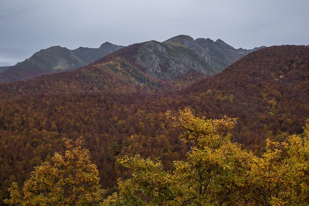 Tiro de ángulo alto del Parque Nacional Europa capturado en otoño en España