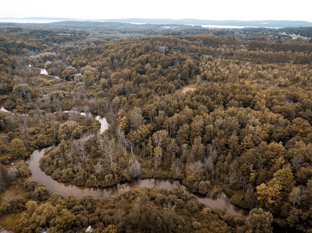 Foto gratuita tiro de ángulo alto de un río en medio de un bosque con árboles de hojas marrones