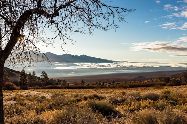 Tiro de ángulo alto del Valle de la cebolla en California, Estados Unidos y el cielo brillante