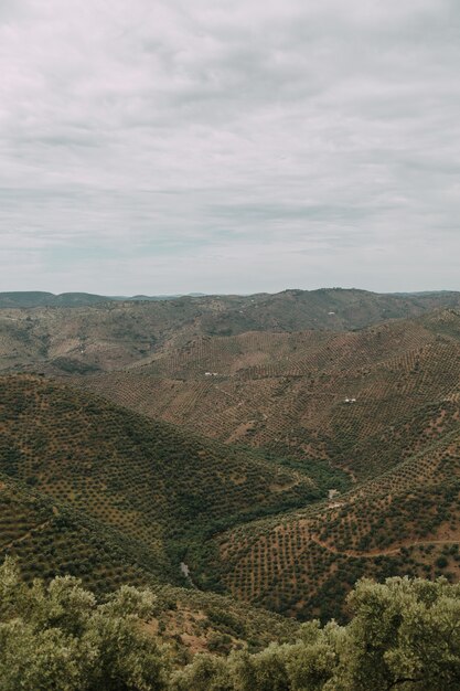 Tiro de ángulo alto vertical de una cadena de montañas con árboles verdes bajo el cielo nublado