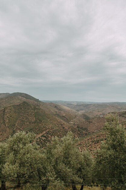 Tiro de ángulo alto vertical de una cadena de montañas con árboles verdes bajo el cielo nublado