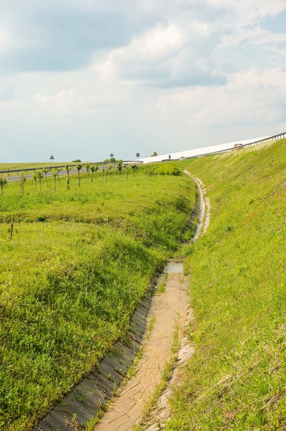 Tiro de ángulo alto vertical de un campo de hierba verde por una carretera