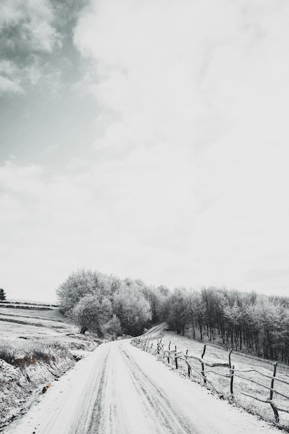 Foto gratuita tiro de ángulo alto vertical de una carretera nevada que conduce al bosque