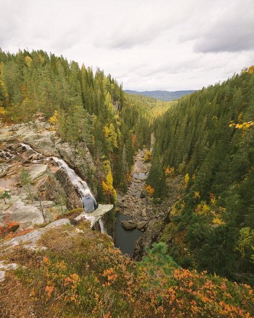 Tiro de ángulo alto vertical de un hermoso paisaje con una gran cantidad de árboles verdes y un río en Noruega