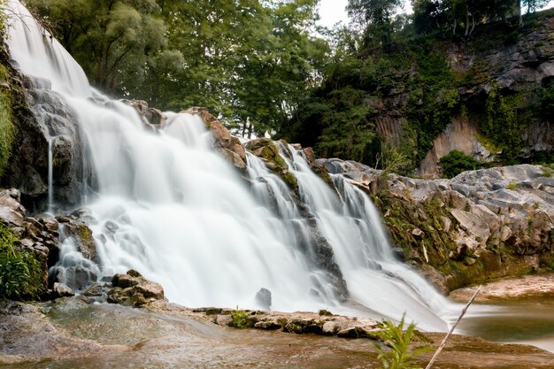 Tiro de ángulo bajo de una cascada rocosa con árboles verdes