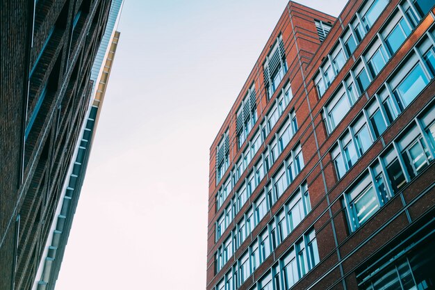 Tiro de ángulo bajo de edificios de apartamentos de concreto con muchas ventanas