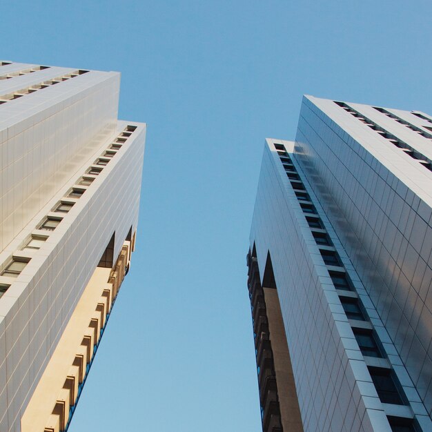 Tiro de ángulo bajo de edificios de gran altura bajo un cielo azul claro