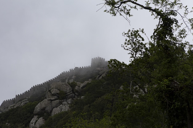 Tiro de ángulo bajo de un hermoso castillo en un acantilado brumoso sobre los árboles