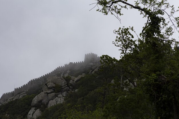 Tiro de ángulo bajo de un hermoso castillo en un acantilado brumoso sobre los árboles