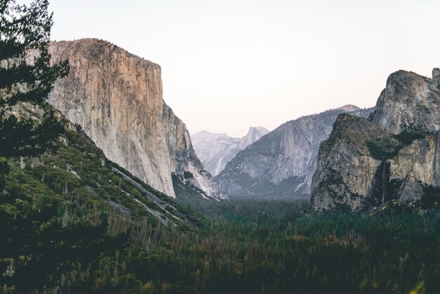 Tiro de ángulo bajo de hermosos paisajes de un bosque verde bajo rocas y el cielo en el fondo