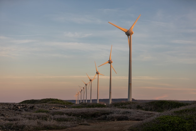 Tiro de ángulo bajo de molinos de viento en medio de un campo durante la puesta de sol en Bonaire, Caribe