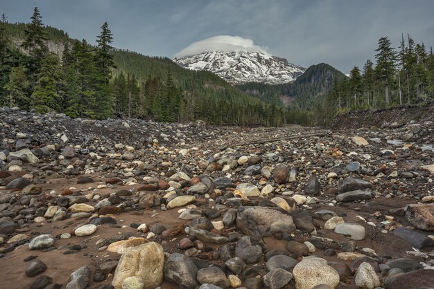 Tiro de ángulo bajo de un río seco rodeado de un paisaje verde en el Monte Rainier, Washington