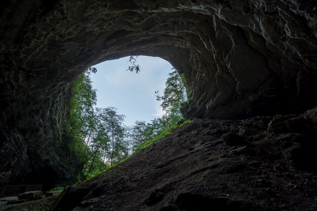Tiro de ángulo bajo de la salida de una cueva oscura en Skrad, Croacia