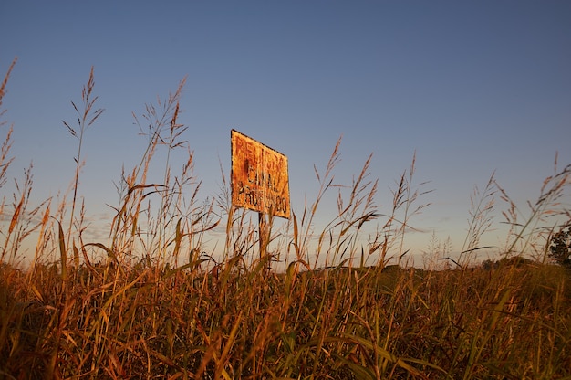 Foto gratuita tiro de ángulo bajo de señalización en un campo agrícola con un cielo azul claro