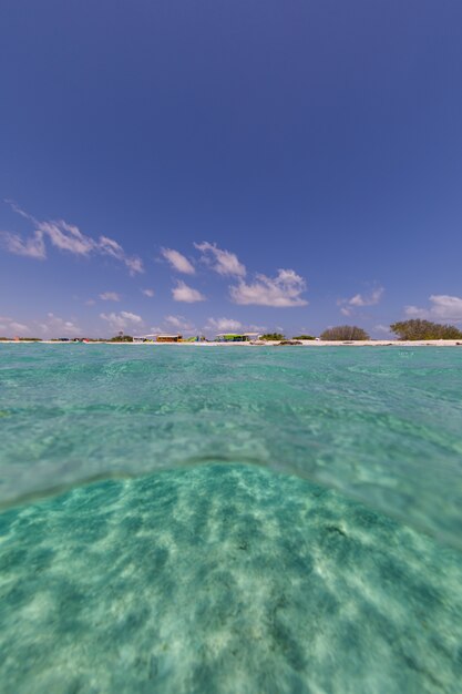 Tiro de ángulo bajo vertical del océano en Bonaire, Caribe