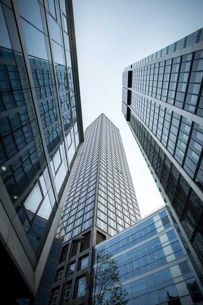 Tiro de ángulo bajo vertical de rascacielos de gran altura en una fachada de vidrio en Frankfurt, Alemania