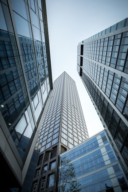 Tiro de ángulo bajo vertical de rascacielos de gran altura en una fachada de vidrio en Frankfurt, Alemania