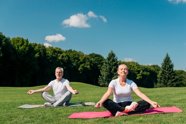 Tiro completo personas meditando al aire libre