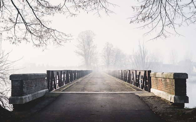 Tiro espeluznante horizontal de un puente que conduce a un bosque de niebla con casas