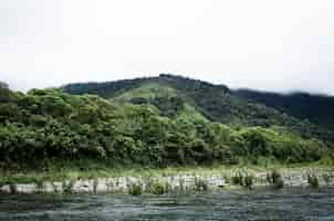 Foto gratuita tiro largo paisaje de árboles tropicales y colinas