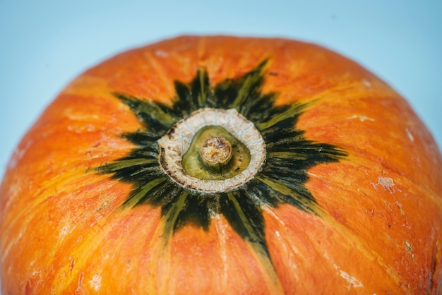 Foto gratuita tiro macro de calabaza fresca