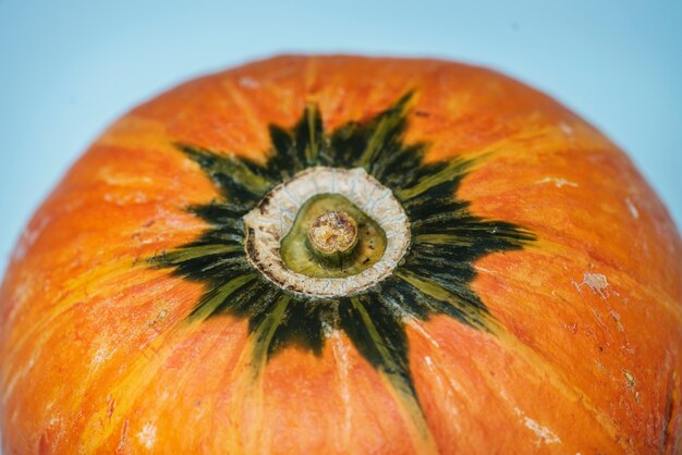 Tiro macro de calabaza fresca