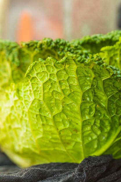 Tiro macro de las hojas verdes frescas de la col de China